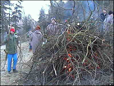 wald138