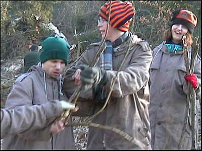 wald151
