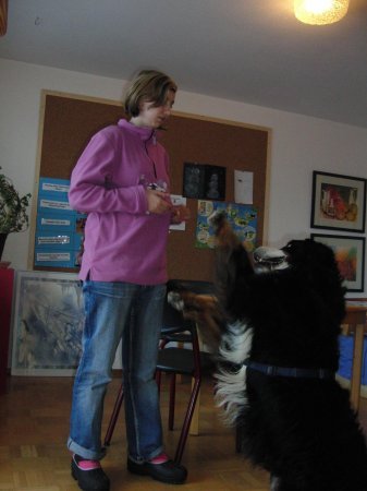 schulhund-janosch-4135