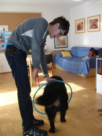schulhund-janosch-4546