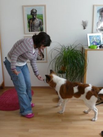 togo-einzelbegegnungen-04