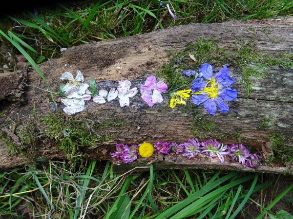 bluetenzauber-landart-dsc02656