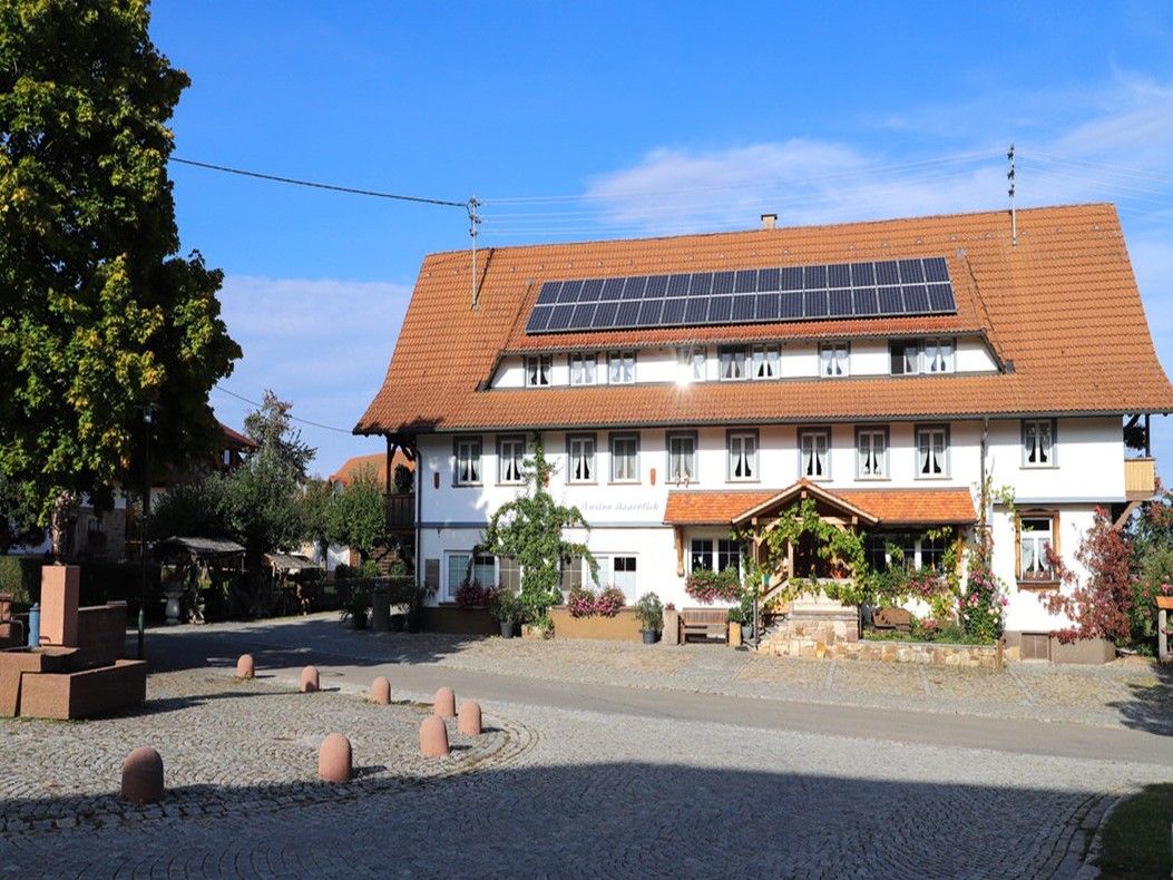 Bild1