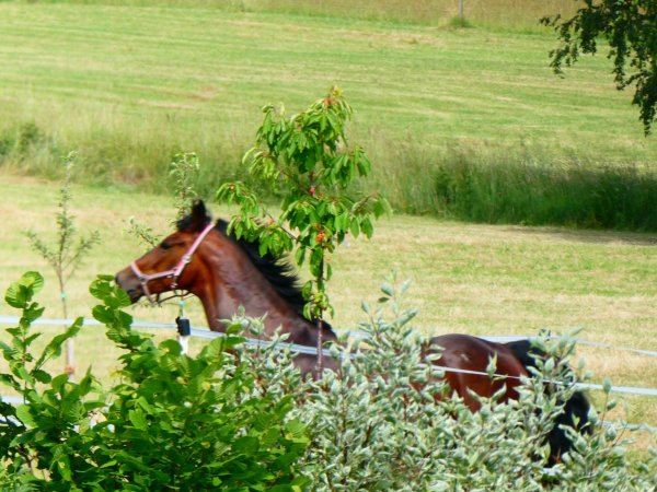 erlebnispaedagogischer-tag-p1170403
